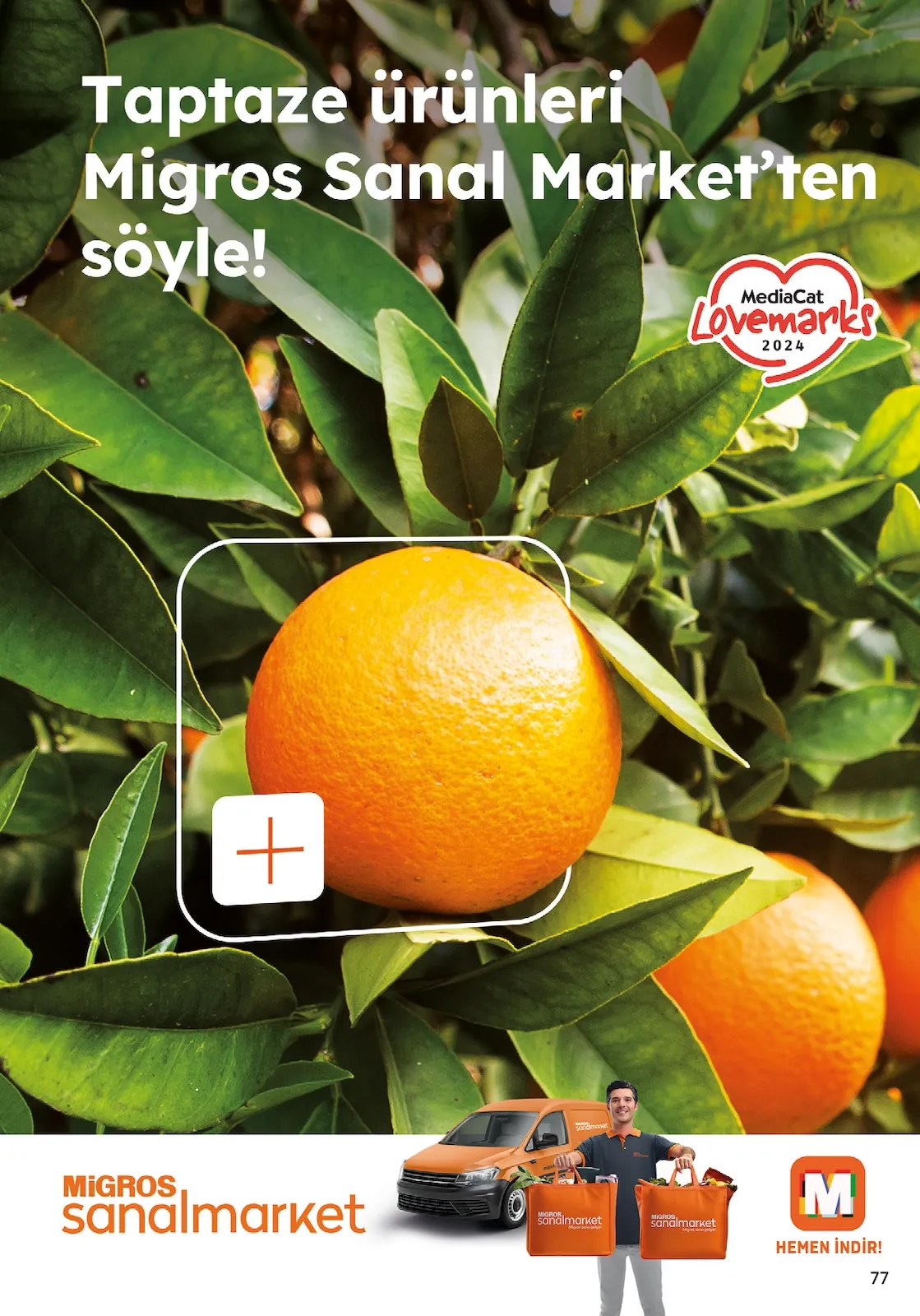 Sayfa 36
